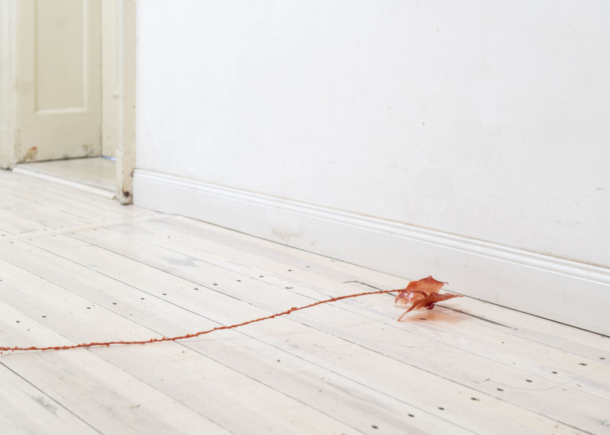 2022_ProjectSpace_i Nature_BarLin_13