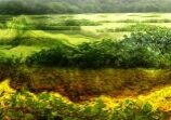 Image of a distored landescape with bright vivid colors